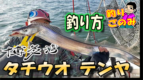 タチウオテンヤの釣り方